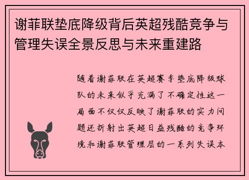 谢菲联垫底降级背后英超残酷竞争与管理失误全景反思与未来重建路 谢菲联垫底降级背后英超残酷竞争与管理失误全景反思与未来重建路